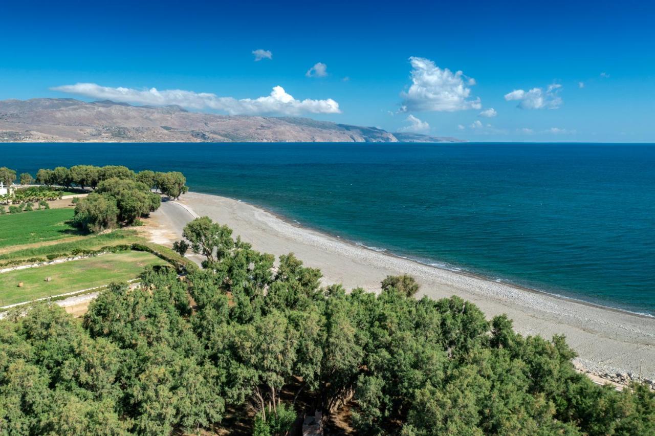 Villa Persephone Tavronitis Exteriör bild